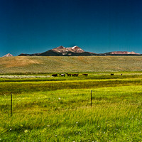 2408_FM_COLOR_ID_02_4.jpg