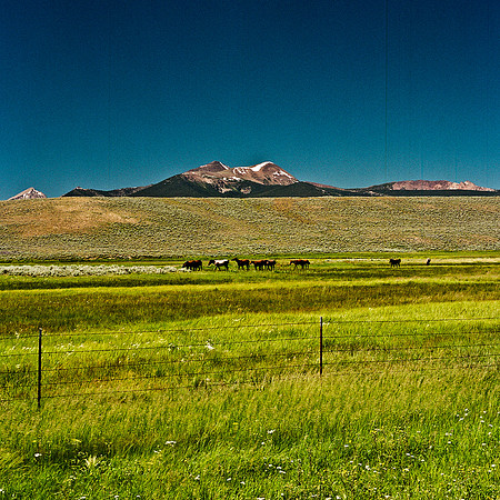 2408_FM_COLOR_ID_02_4.jpg