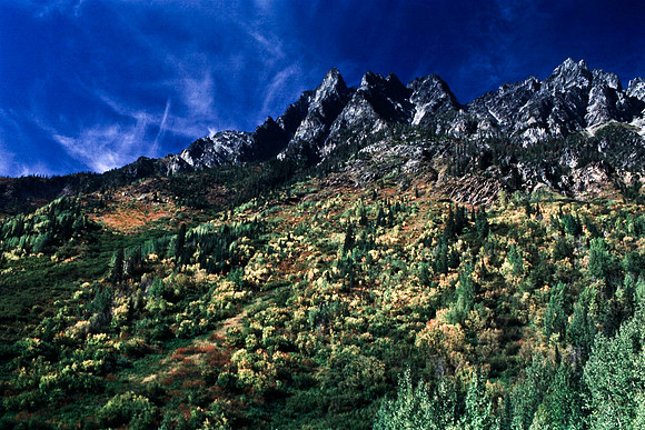 06816_B19_SL_COLOR_REVELSTOKE_TO_ROGERS_PASS_TO_GLACIER_NAT_PARK_OC_WS_97_10.jpg
