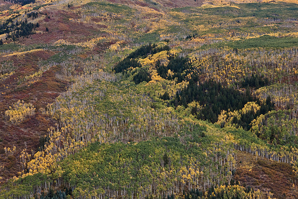200828_DVD12_DG_USA_Aspen_1699_full_blead