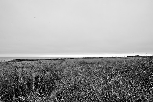 5L8Y0560