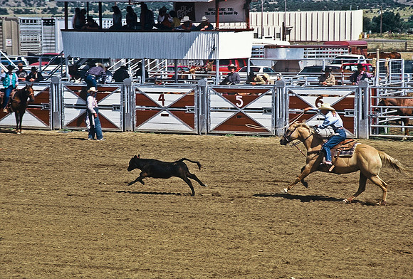 47488_B6_SL_COLOR_TRINIDAD_RODEO_CO_97_03.jpg