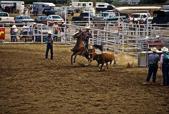47490_B6_SL_COLOR_TRINIDAD_RODEO_CO_97_13.jpg