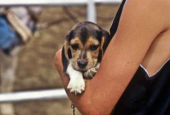47491_B6_SL_COLOR_TRINIDAD_RODEO_CO_97_06.jpg
