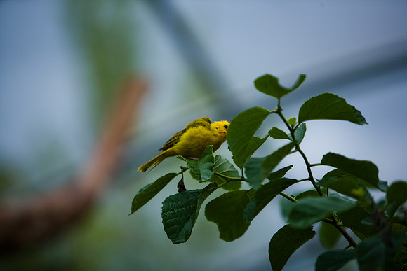 85547_ZV4N_7449-238_Miami_To_Sanibel_Island_FL