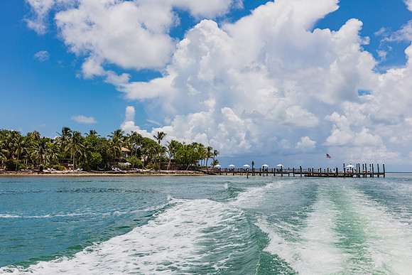 20160714_Key_West_Little_Palm_075A0640