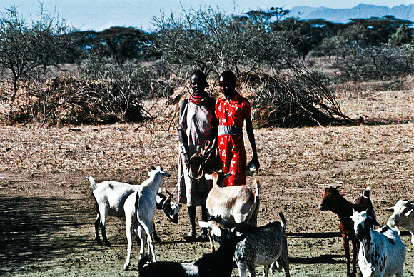 55442_SL_COLOR_TRIBE_LAKE_BARINGO_KENYA_AFRICA_1989_1-2