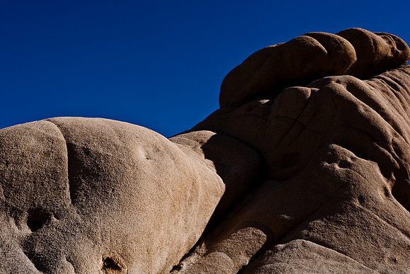 06646_DG_COLOR_JOSHUA_TREE_NAT_PARK_29_PALMS_CALIFORNIA_CA_USA_2007_ZV4N_460