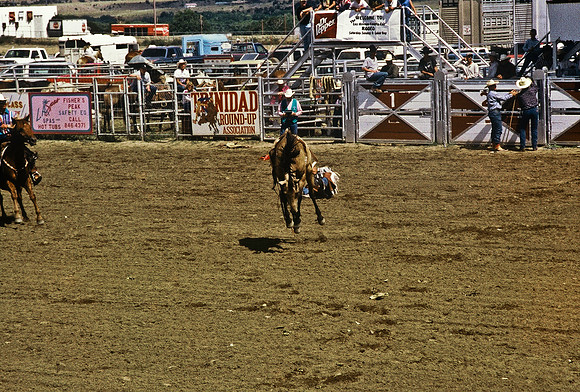 47492_B6_SL_COLOR_TRINIDAD_RODEO_CO_97_18.jpg