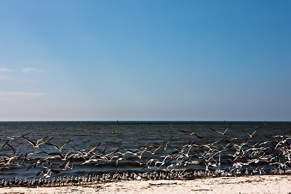 0036-NEW_ORLEANS_TO_PANAMA_CITY_BEACH_5L8Y1156