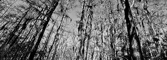 7749_FL_BW_LOUISIANA_01_8.jpg