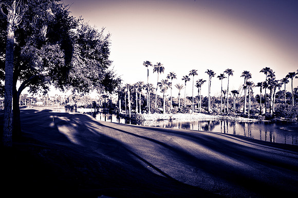0031_La_Arizona_5L8Y5080-2