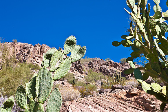 0031_La_Arizona_5L8Y5294
