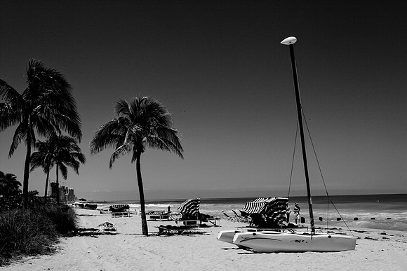 36181_DG_Color_USA_Miami_FL_Related_GroupZV4N9572