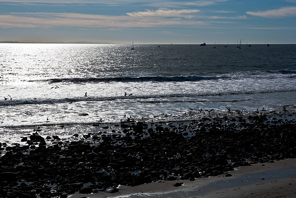 36409_DG_CALIFORNIA_USA_2007_ZV4N_0626