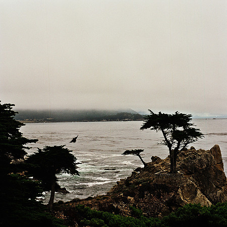 2366_FM_COLOR_CARMEL_CA_02_4.jpg