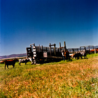 2406_FM_COLOR_ID_02_10.jpg