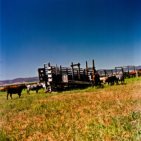 2406_FM_COLOR_ID_02_10.jpg