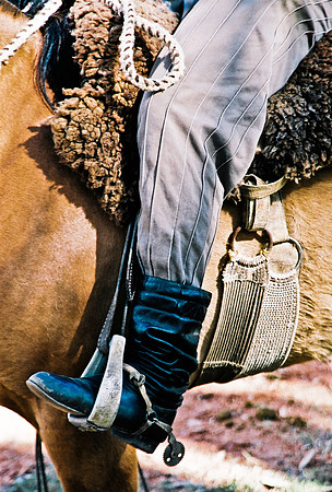2624_FM_COLOR_35MM_PORTO_ALEGRE_BRAZIL_2004_26