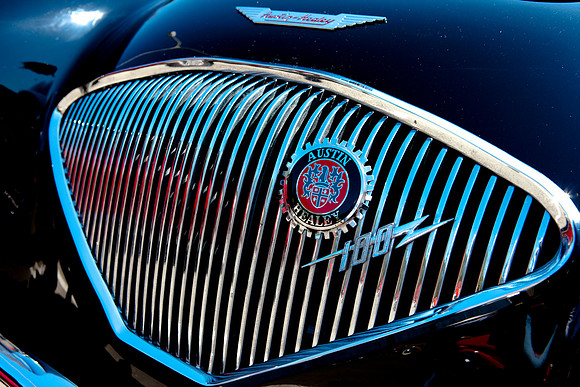 0026_DG_Mill_Valley_CA_USA_2009_5L8Y1869