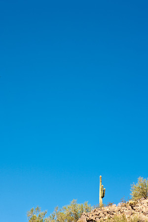 0031_La_Arizona_5L8Y5428