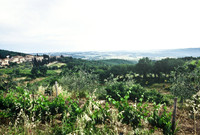 37340_SL_COLOR_ITALY_2000_5