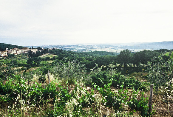 37340_SL_COLOR_ITALY_2000_5